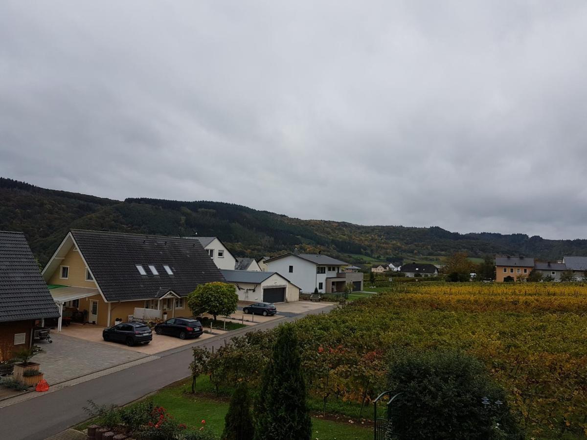 Ferienweinhaus Roemer-Knodt Kröv Buitenkant foto
