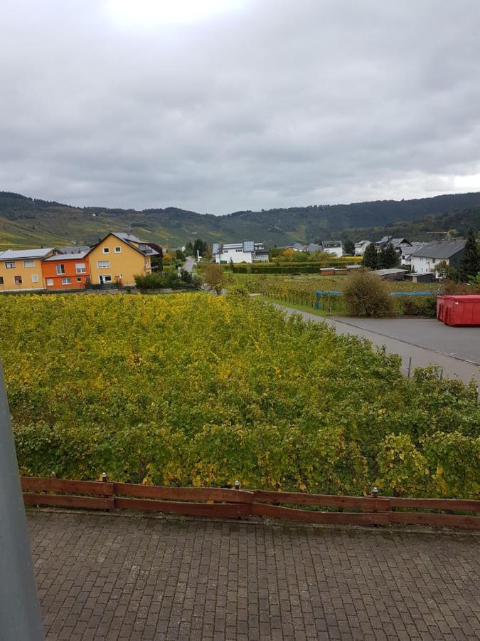 Ferienweinhaus Roemer-Knodt Kröv Buitenkant foto